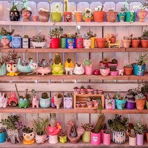 Meet your Posher, Krista